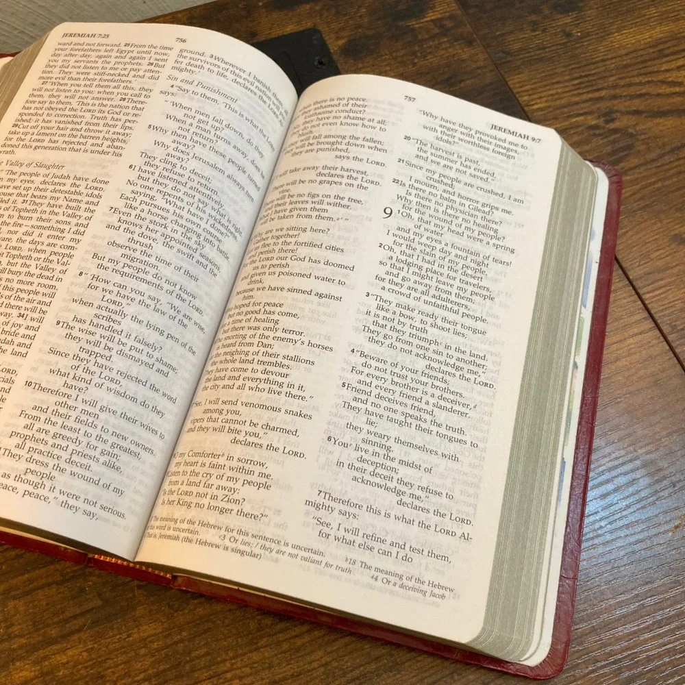 NIV Holy Bible 1998 International Bible Society Red Leatherette Vintage Edition